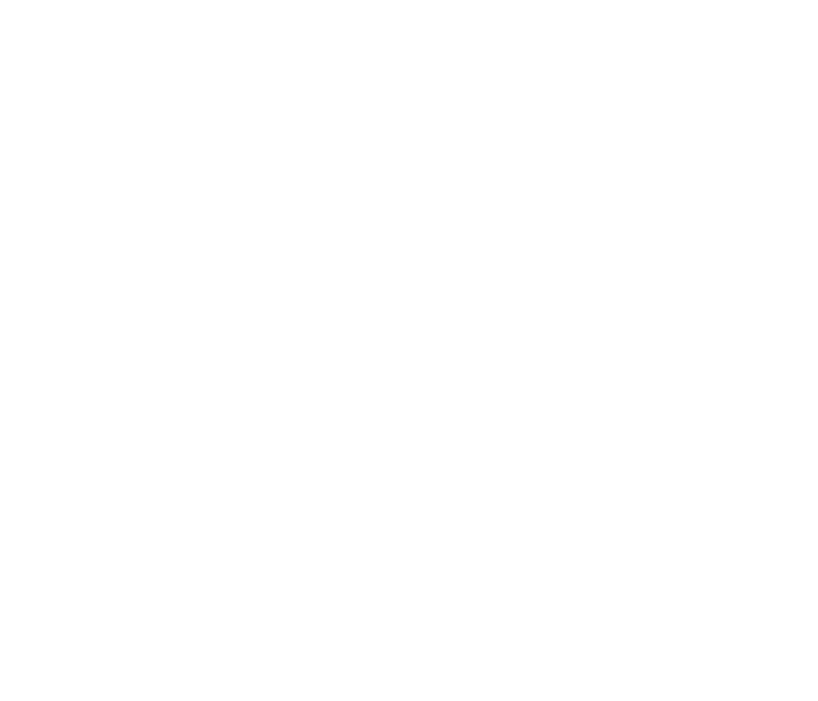 RobSys Logo